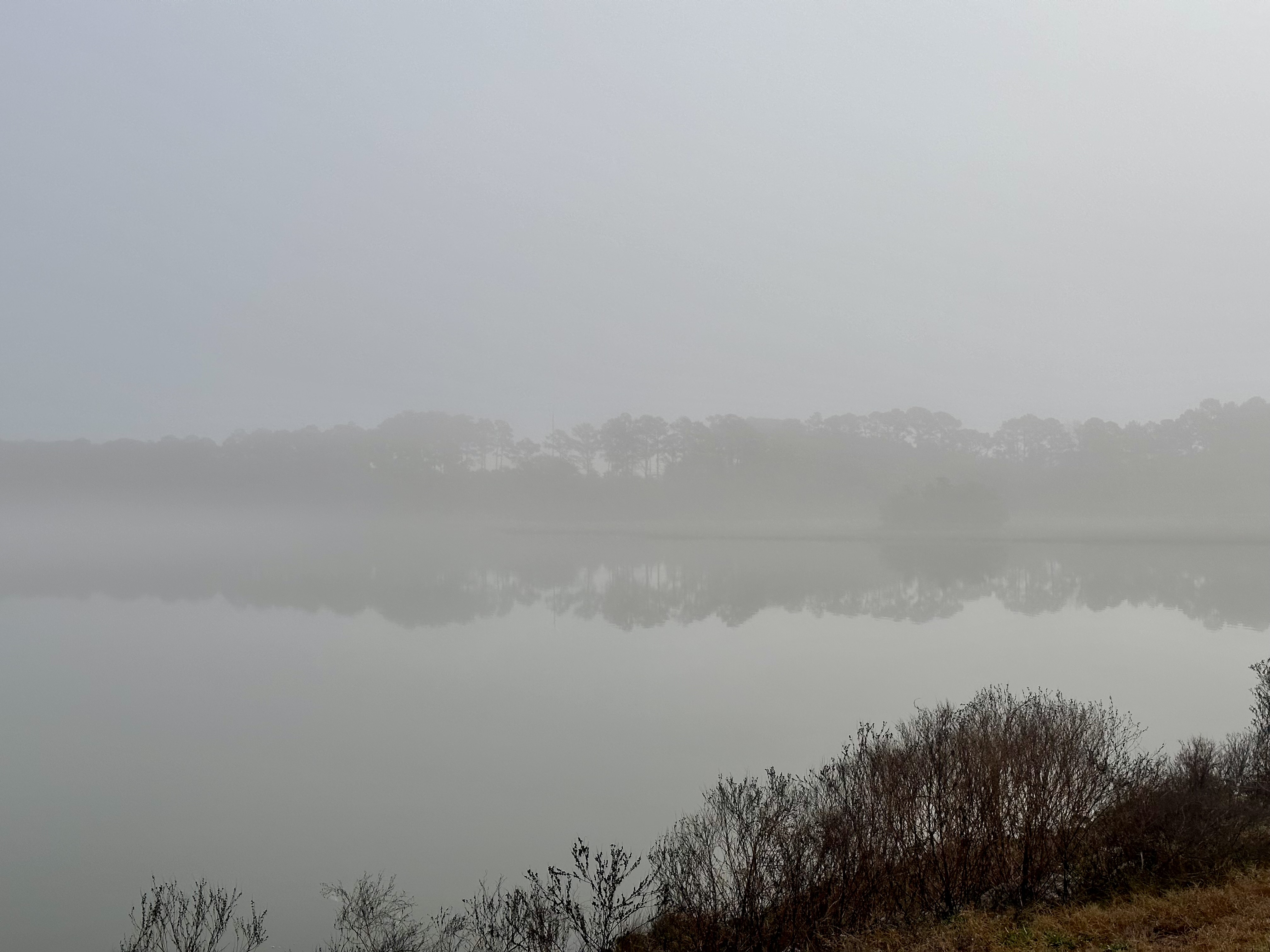 Thoughts on Minneapolis Violence